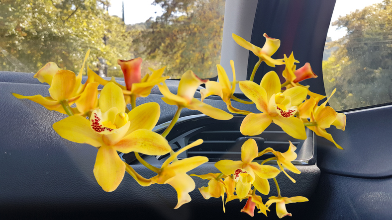 luftkonditionering i bilen med animerade gula blommor som kommer ut ur den